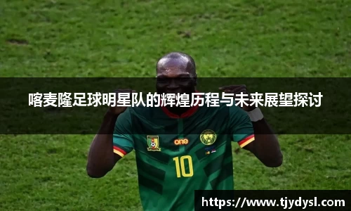 喀麦隆足球明星队的辉煌历程与未来展望探讨